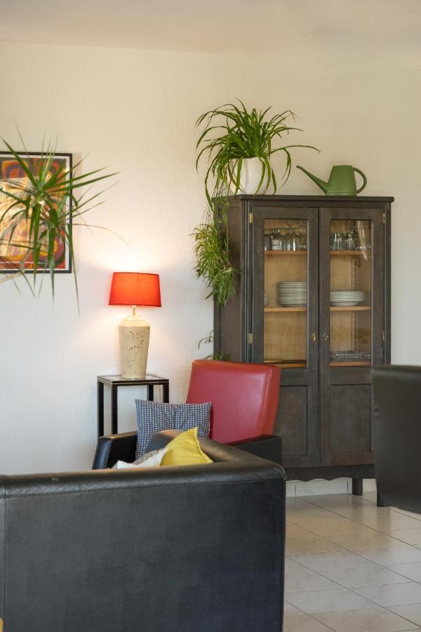Le Clos Bellevue Appartement T3 Parking + Piscine روديه المظهر الخارجي الصورة
